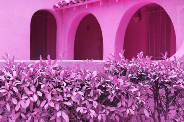 instagram.com/themuralagency