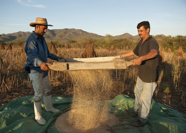 Вечная красота: beauty-бранч компании Weleda