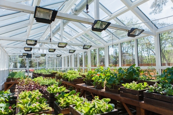 пресс-служба