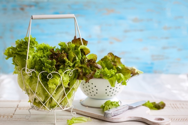 Как подобрать зелень для салата: гид по вкусам