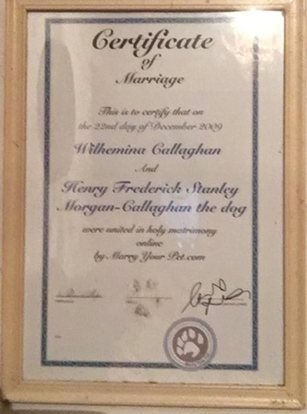 Счастливый брак: в Англии женщина вышла замуж за собаку