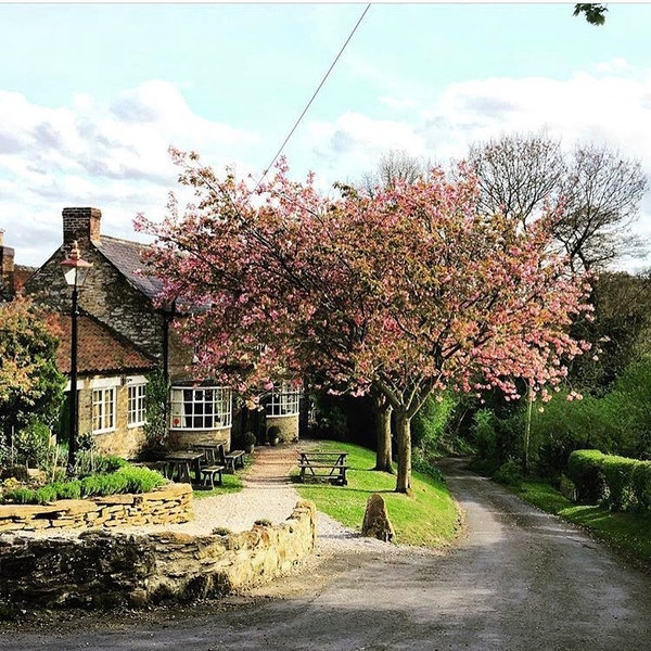 Лучший ресторан мира: назван победитель рейтинга