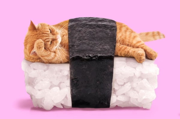 instagram.com/paulfuentes_design