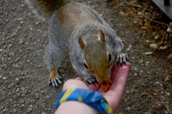 10 неожиданных советов для тех, кто хочет узнать Лондон за 2 дня