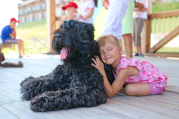 Как детки с особенностями развития исцеляются с помощью канистерапии