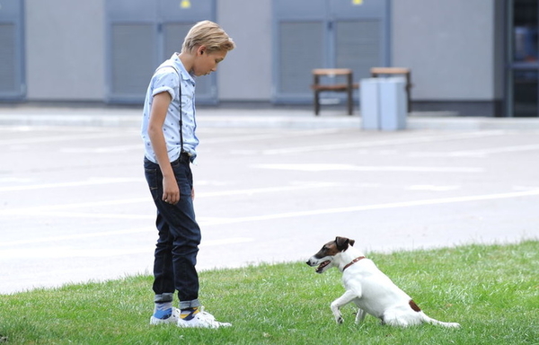 В Сети появился украинский тизер фильма "Фокстер & Макс"