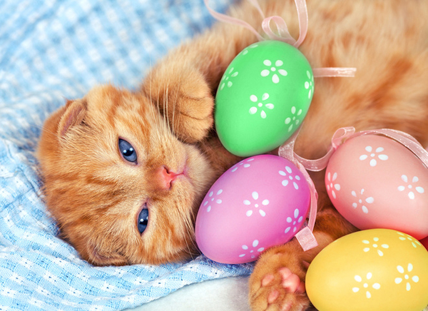 Погода на Пасху 2018 года в Украине