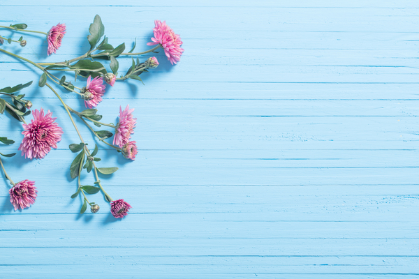 Выходные в Киеве: самые яркие мероприятия