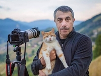 Почему нельзя кричать на детей: советы доктора Комаровского