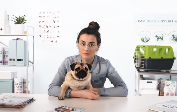 Распространенные заболевания у собак