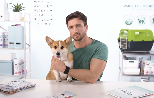 Распространенные заболевания у собак