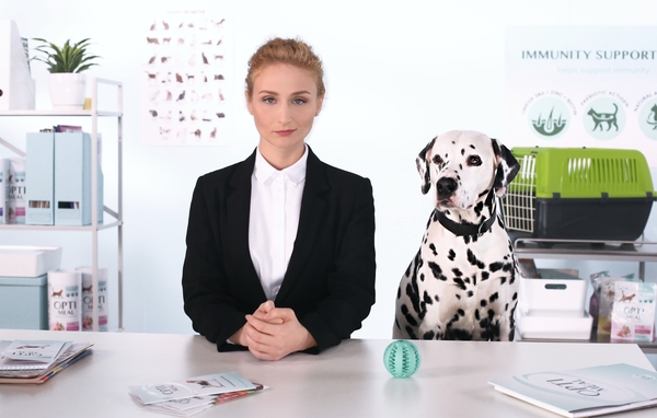 Распространенные заболевания у собак