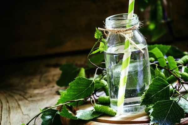 Весенний рецепт: консервация березового сока