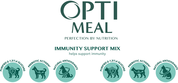 Распространенные заболевания у котов