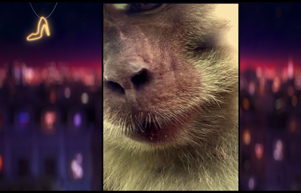 Даша Астафьева: «Всех моих бывших звали Олег»