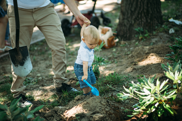 Посадите дерево – отпразднуйте День отца