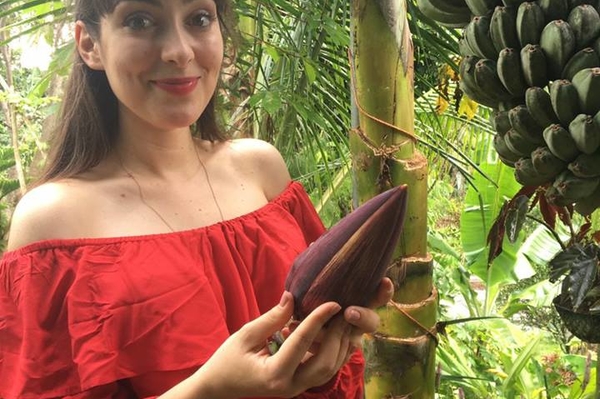 пресс-служба Нового канала