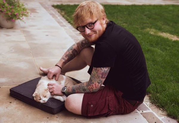 Эд Ширан тайно женился