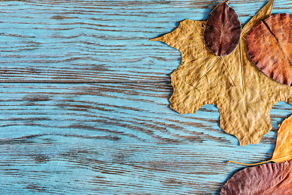 Выходные в Киеве: самые яркие мероприятия 7 - 9 сентября