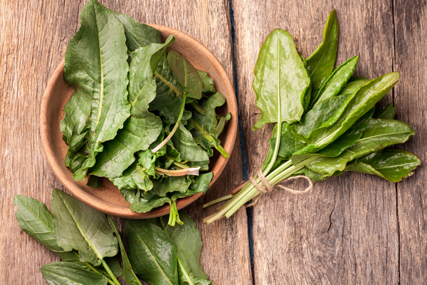 Как заготовить щавель на зиму: советы хозяйкам