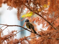 Запреты дня 3 ноября 2021: что нельзя делать в Иларионов день