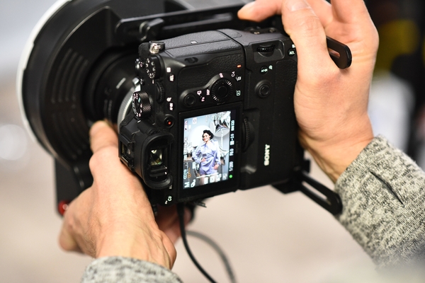 Это важно: Полякова, Дорофеева и Астафьева призвали украинцев пристегиваться в авто