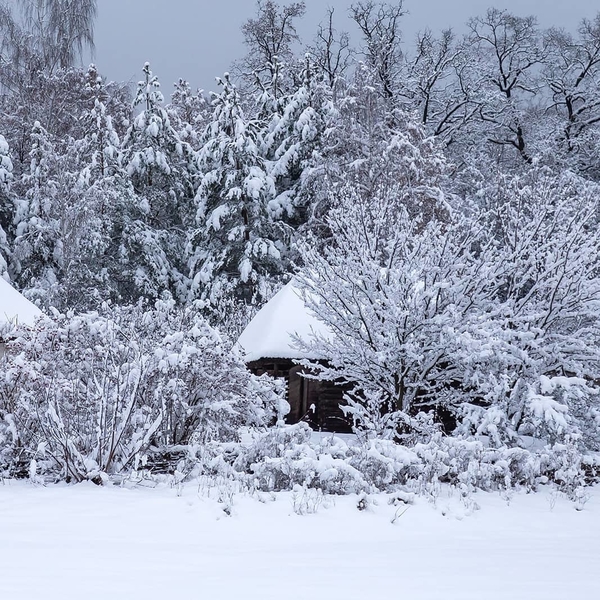 Зимняя сказка: ТОП-5 мест под Киевом, где отлично гулять зимой