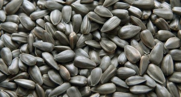 ТОП-7 продуктов, которые улучшат состояние волос