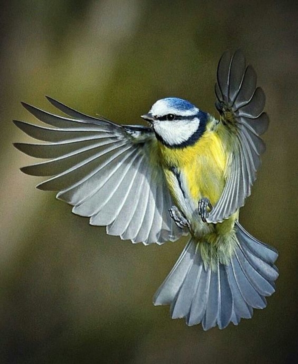 ТОП-5 самых странных процедур для лица, которые делают девушки