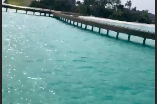 instagram.com/lesia_nikituk