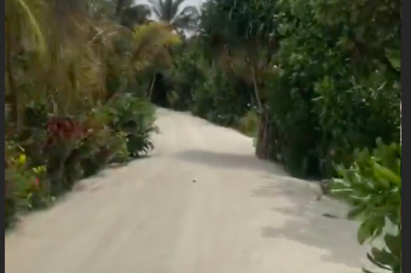 instagram.com/lesia_nikituk