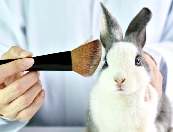 В Украине запретят тестирование косметики на животных