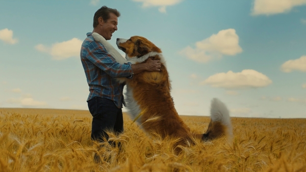 Вышел первый трейлер фильма "Путешествие хорошего пса"