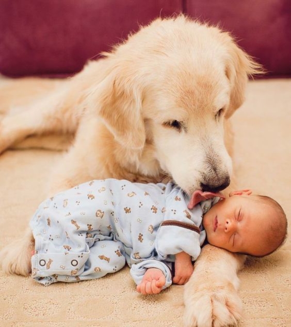 ТОП-23 фото-доказательств того, что собака для ребенка - лучший подарок