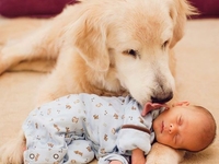 ТОП-23 фото-доказательств того, что собака для ребенка - лучший подарок