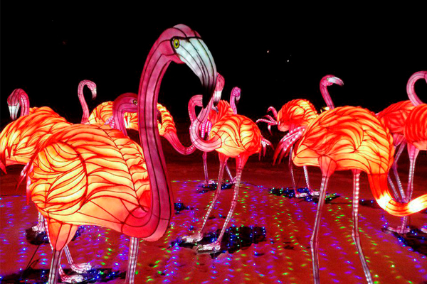 В Киеве проведут всемирно известный Фестиваль Гигантских Китайских Фонарей