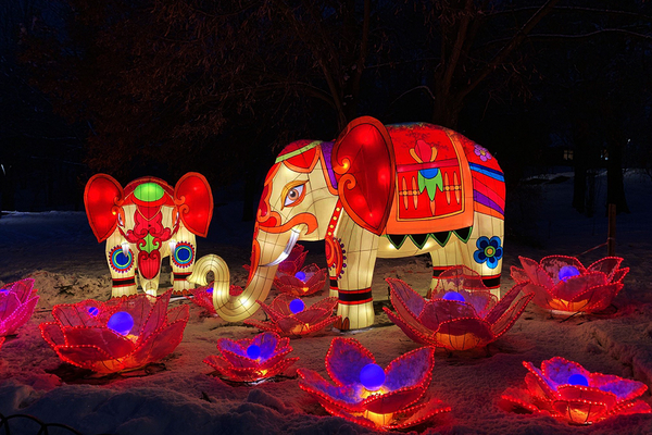 В Киеве проведут всемирно известный Фестиваль Гигантских Китайских Фонарей