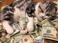 ТЕСТ: Узнайте, как вы разбогатеете