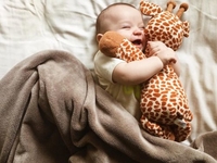 Переломные 4 месяца: Что должен уметь ребенок?