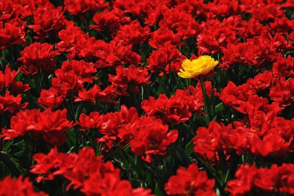 Выходные в мае 2019: Когда будут отдыхать украинцы