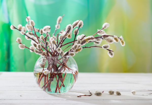 Вербное Воскресенье 2021: История праздника, традиции и обычаи