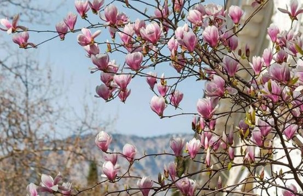 Выходные и праздничные дни в апреле 2019 года в Украине