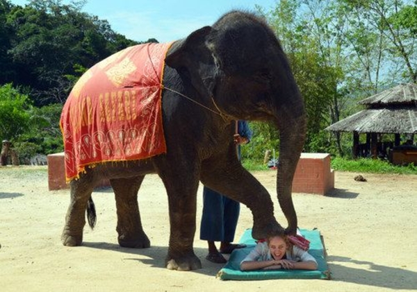 Какие экзотические бьюти-процедуры не стоят ваших денег