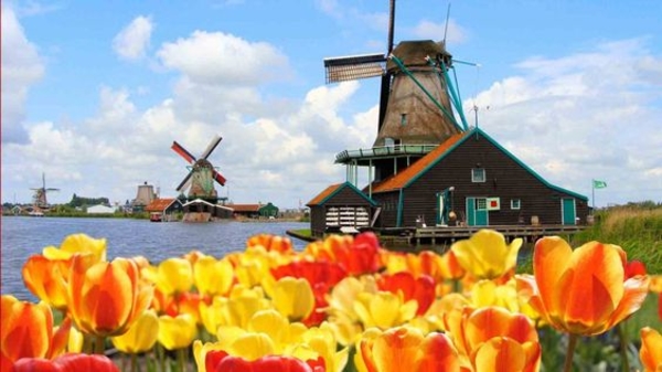 Страна тюльпанов и мельниц: Красивейшие места Нидерландов