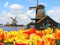 Страна тюльпанов и мельниц: Красивейшие места Нидерландов