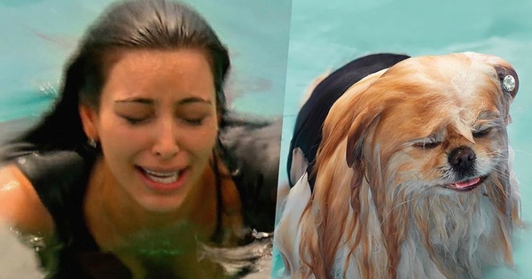 Сравнила с собакой: Ким Кардашьян забавно потроллила саму себя