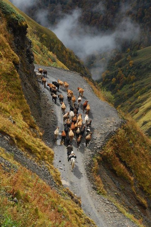 Терпко-сладкая Грузия: Красивейшие места страны