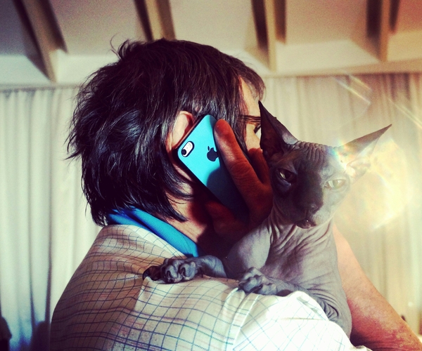 Бари Алибасову подсунули за 800 тыс. не того кота