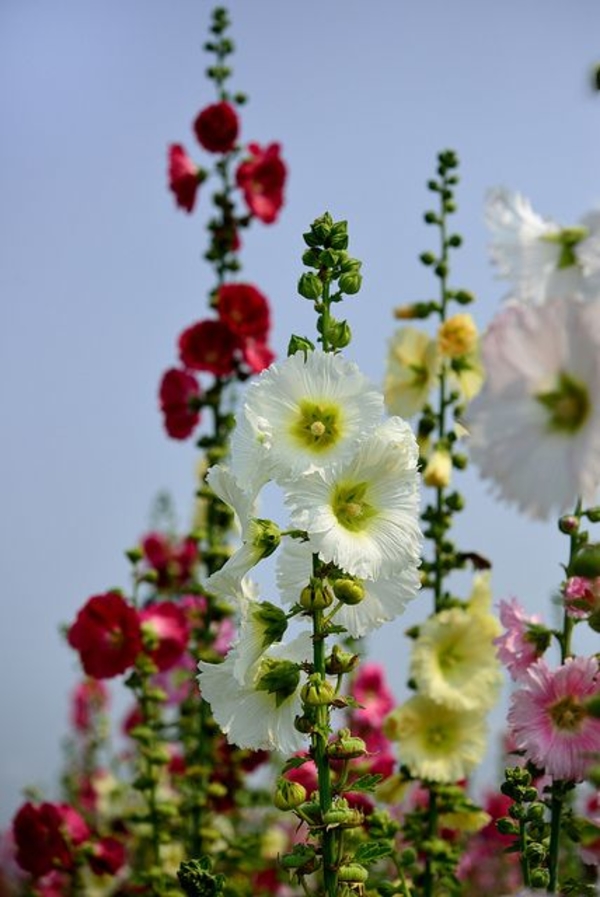 Выходные и праздничные дни на июль 2019