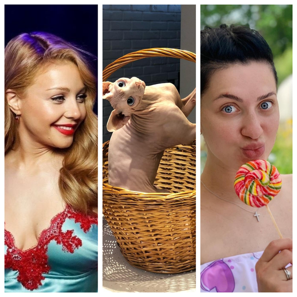 Обнаженная Кароль и Бабкина с младенцем: Знаменитости показали фото с котами